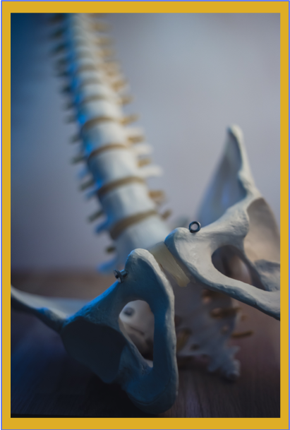 Vitamin K2 and D3 are the subjects of this illustration. These two vitamins work together to put calcium where it belongs and keep it away from where it doesn't.