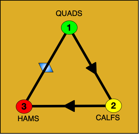 This is a diagram of the 3-Step Sitting Vein Flush that anyone can do anywhere while siting.
