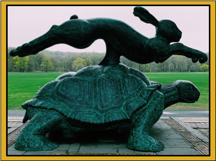 The Tortoise Diet™ returns slow and steady weight loss. The weight stays off. You're not starving and harassed by constant hunger. You only weigh in once a month.