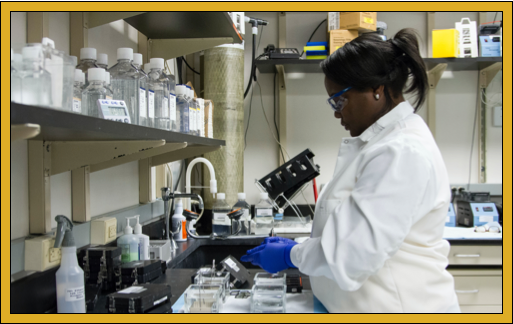 Genome protection slows down aging and limits disabilities stemming from weakened organs. 